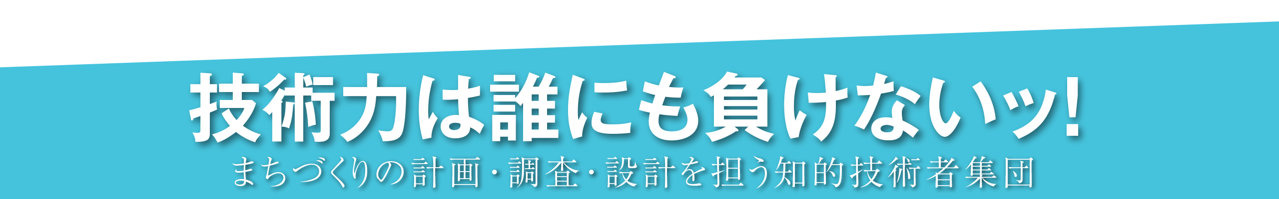 技術力は誰にも負けないッ! まちづくりの計画・調査・設計を担う知的技術者集団